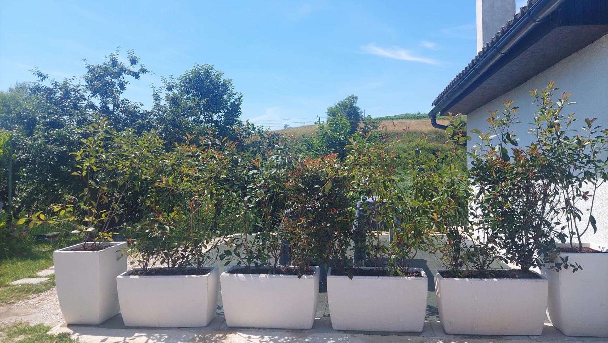 Kod Ane Apartment Belavici Exterior photo